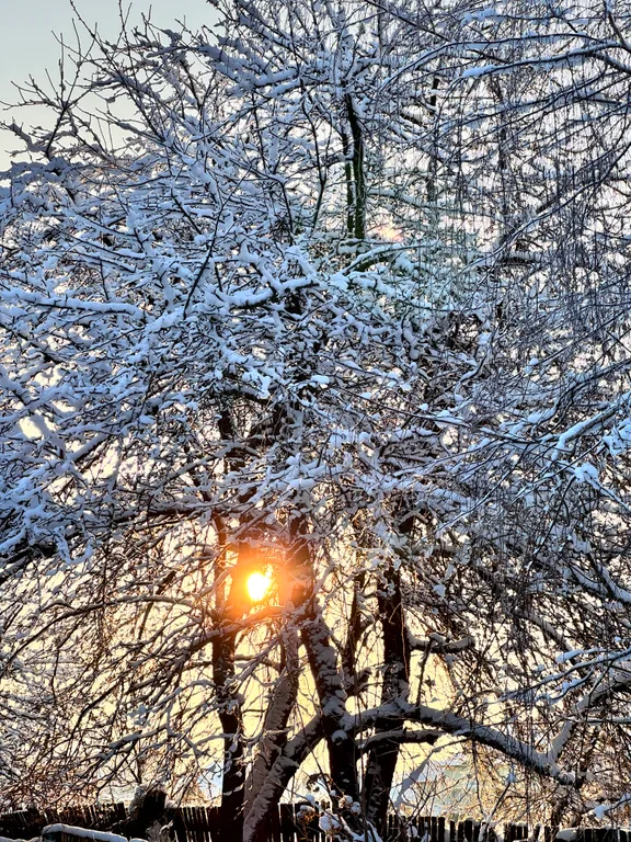 Домик в деревне