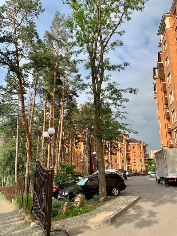 Просторный апартамент с видом на комсомольский парк рядом с озером