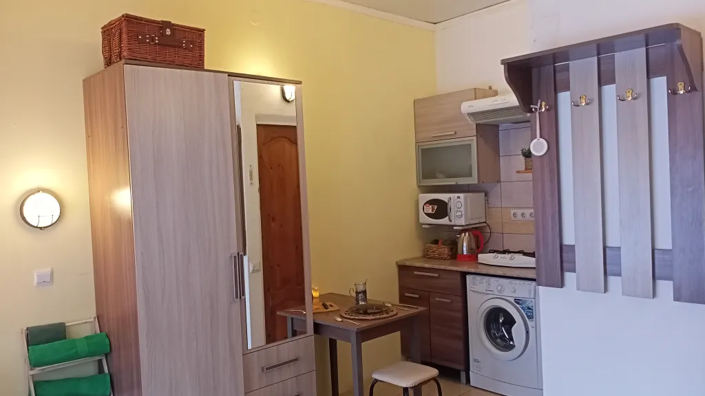 С видом на берег озера с лебедями, в историческом центре, с 1 кроватью