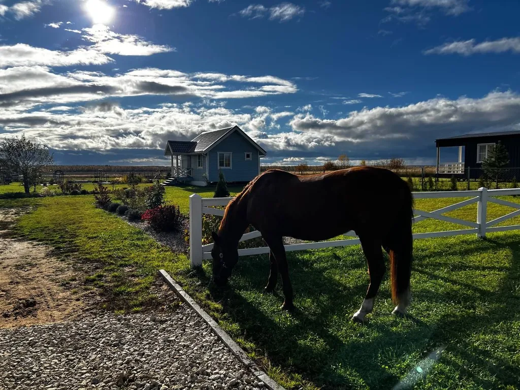 Загородный дом близ Суздаля Загородное пространство