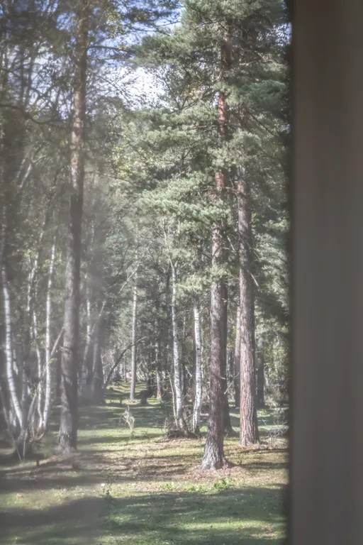 Коттедж Коттедж с видом на лес — Архыз