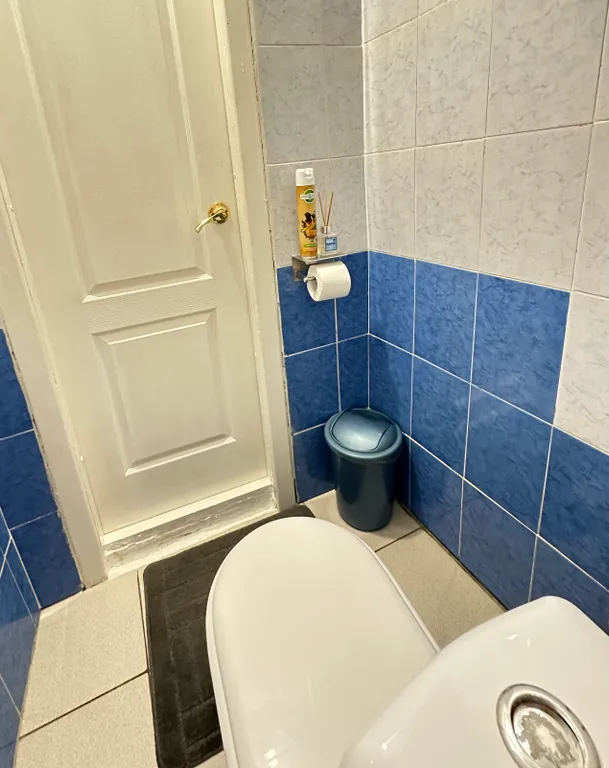 Просторная трехкомнатная квартира