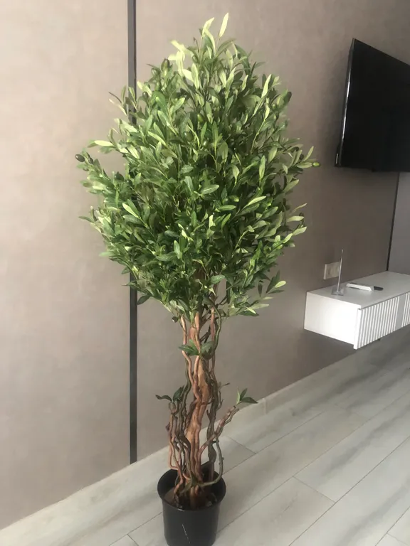 Квартира Квартира Vip студия с террасой и шезлонгами — Лазаревское