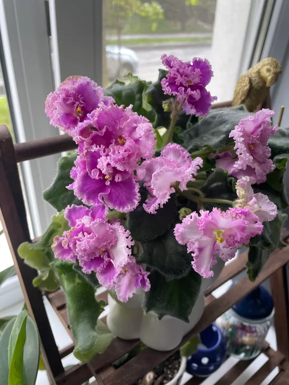 Уютная квартира в историческом центре