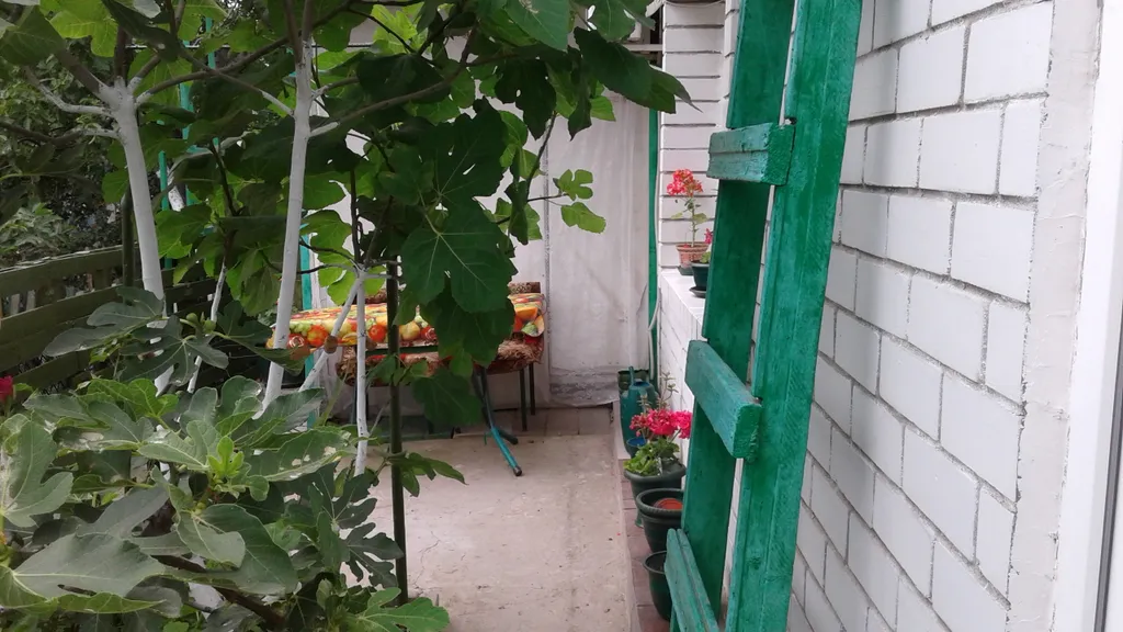 Уютная однокомнатная квартира с зеленым двором