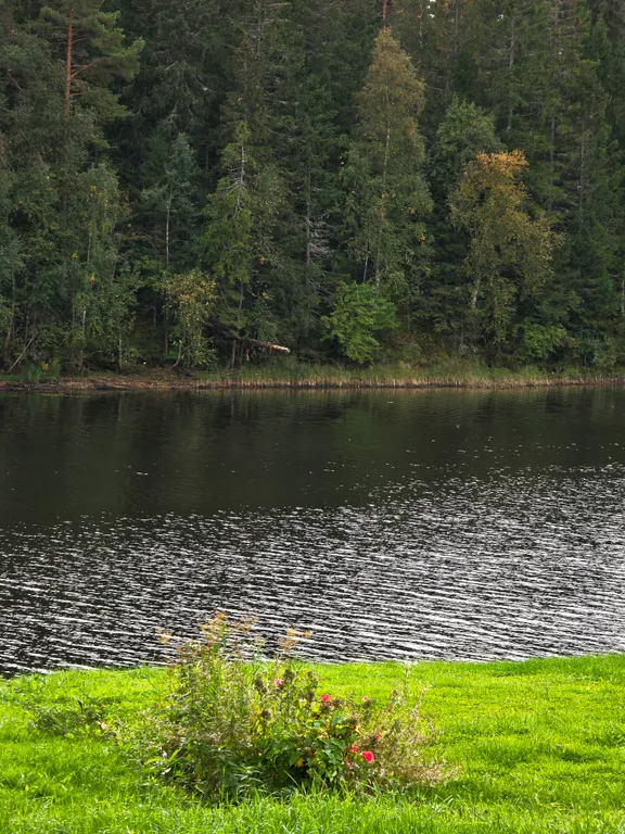 Коттедж Дом с видом на реку — Нурмойла