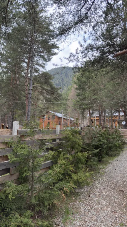 Уютный Домик в лесу!