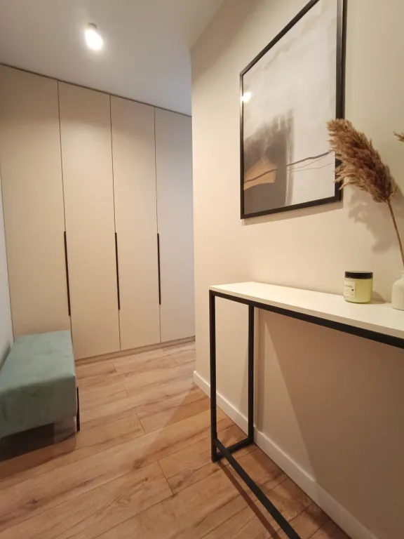 Однокомнатные Сканди апартаменты в центре города