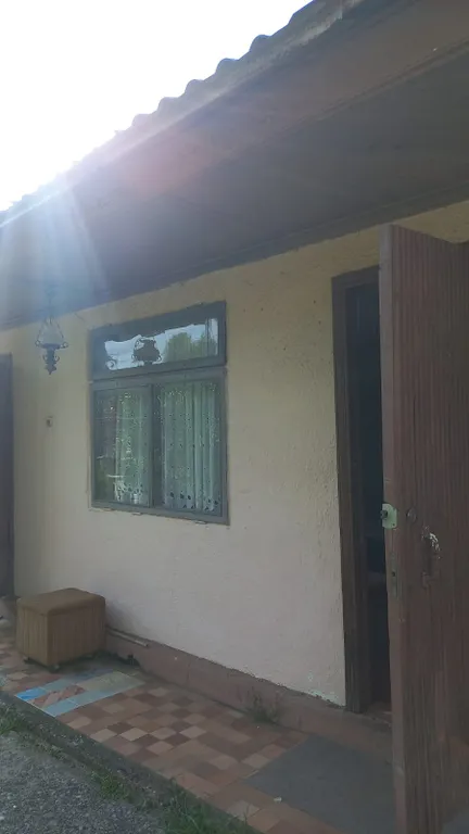 Коттедж Гостевой дом Бамбук — Гагра