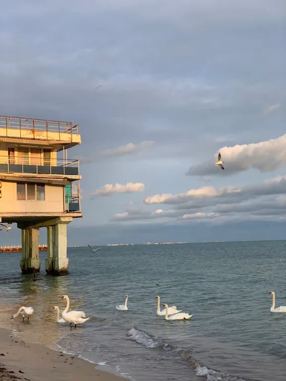 Коттедж Дом у моря с песчаным пляжем и лебедями — Евпатория