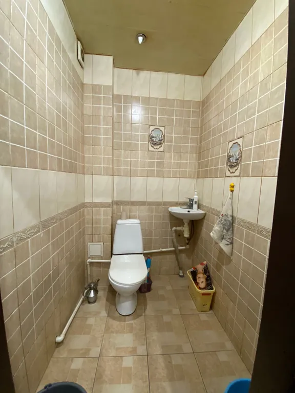 Большой уютный дом