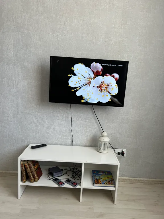 Уютная квартира у Глобуса