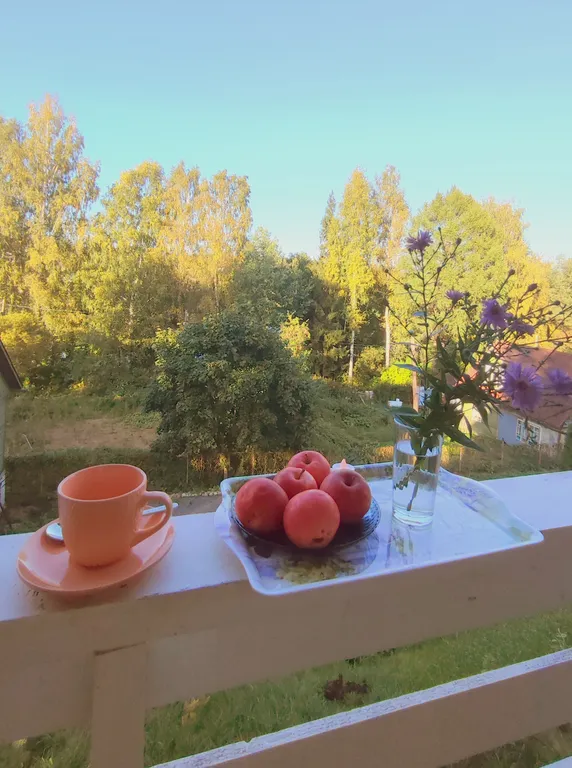 Птица синица House с огромным балконом у озера