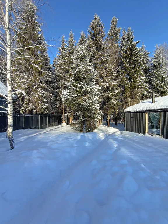 Панорамный дом с видом на лес и банным чаном