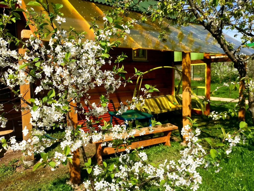 Дом дизайн 20соток баня экскурсии на ретроавто "Винтажные туры" центр