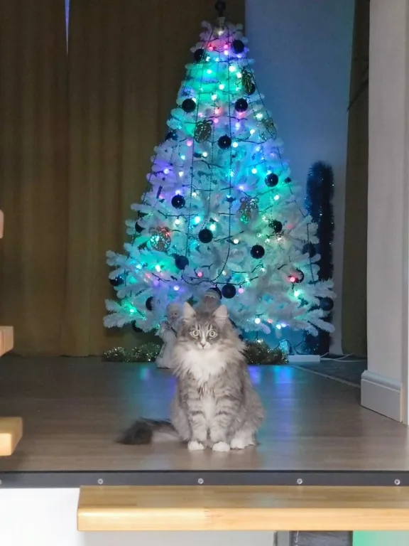 Уютный коттедж в центре города