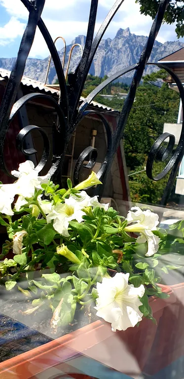 Квартира у моря Львиный Домик-2