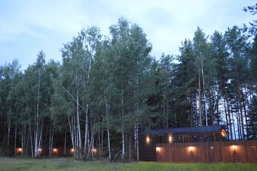 Коттедж Домик Березовый на территории 30 соток — Черноголовка