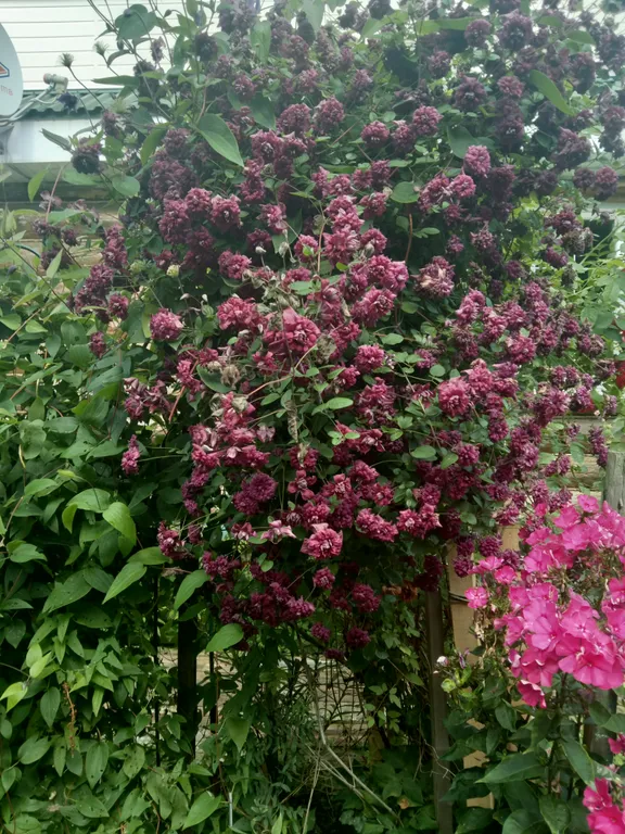 Благоустроенный домик с камином и лоджией на Селигере