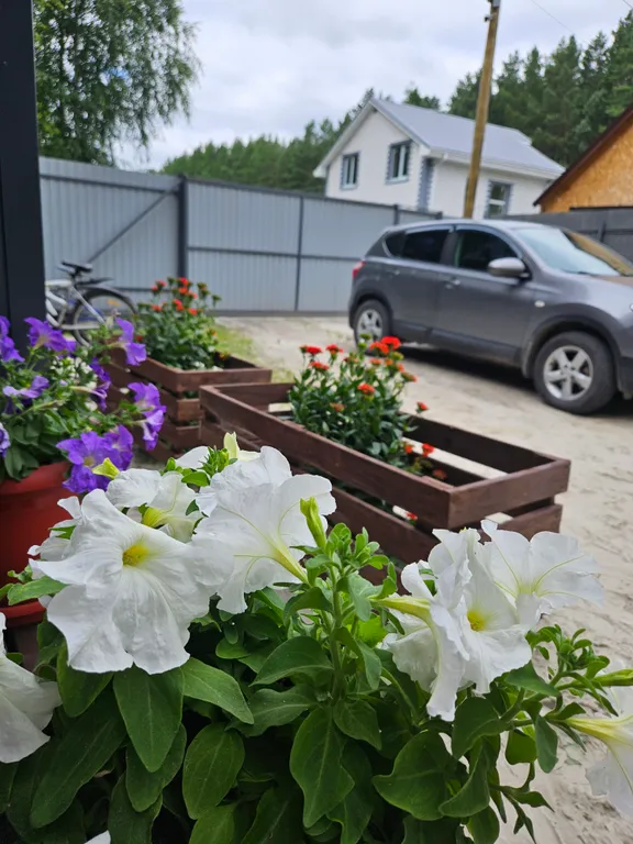 Загородный дом под соснами с сауной и чаном