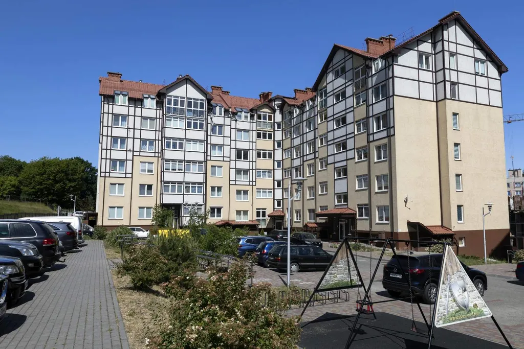 Фиола на холме