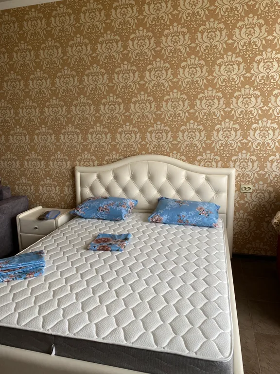 Квартира Апартамент с видом на горы — аренда посуточно в Минеральные Воды