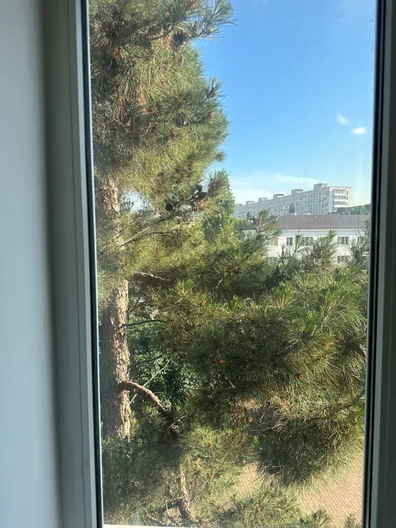 Пляж Нептун, бульвар Черняховского