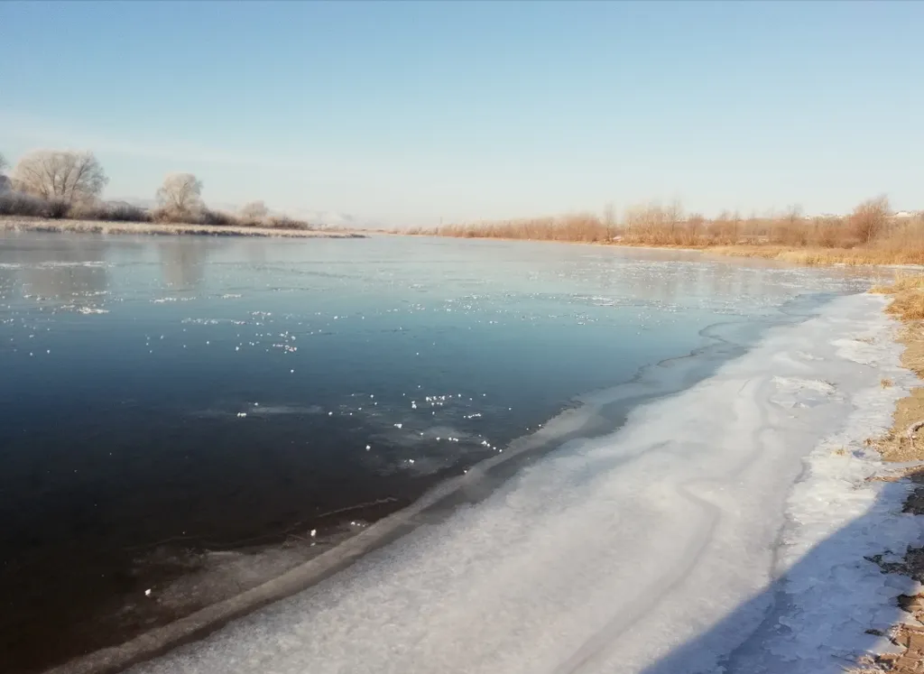 Дом в дубовой роще у реки