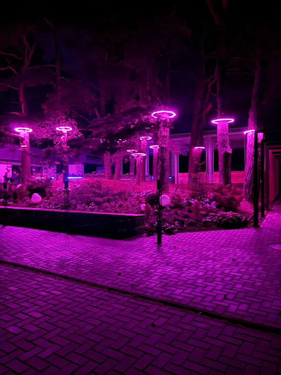 Усадьба и русская баня с холодной купелью Котра