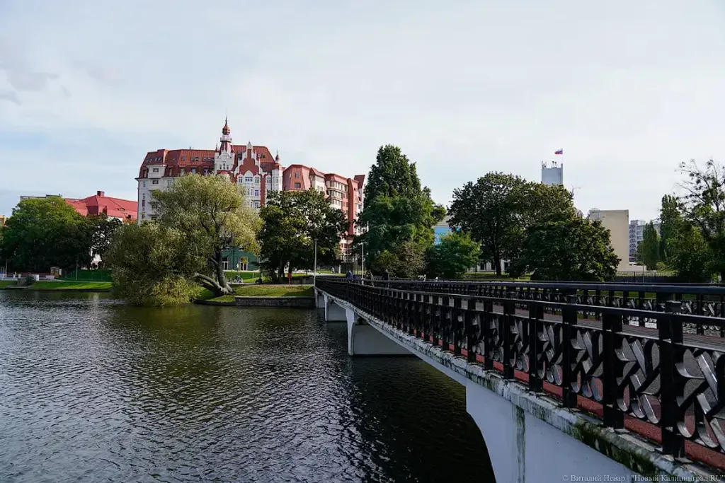 Квартира Квартира в центре с видом на Кафедральный собор — Калининград