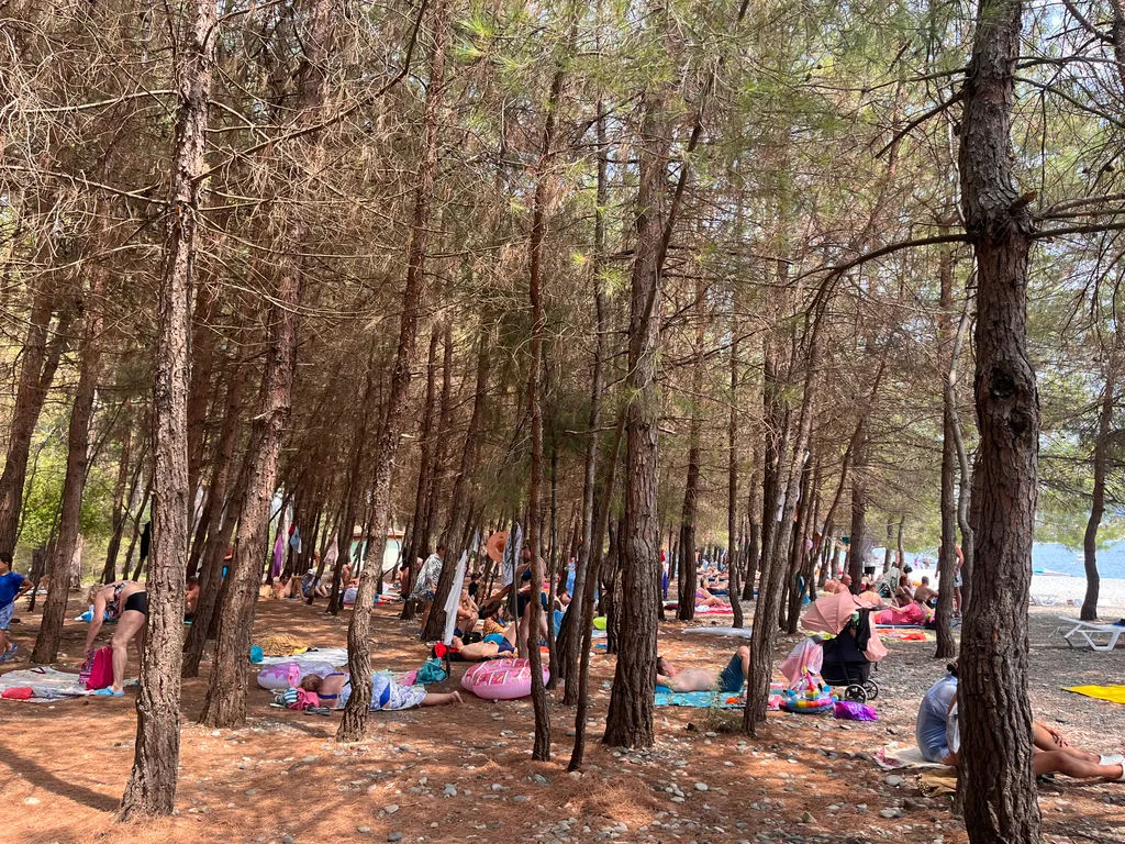 Коттедж Семейный коттедж в саду с видом на горы — Рапица