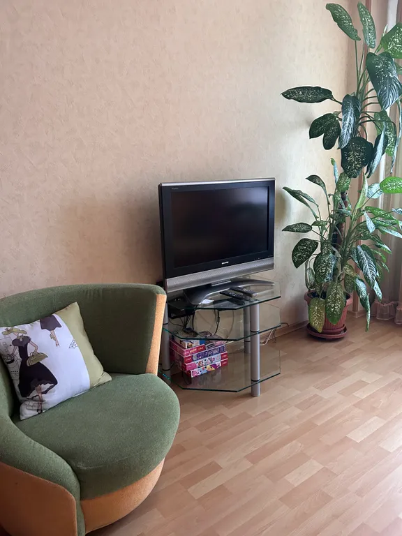 Уютная однокомнатная квартира в центре города