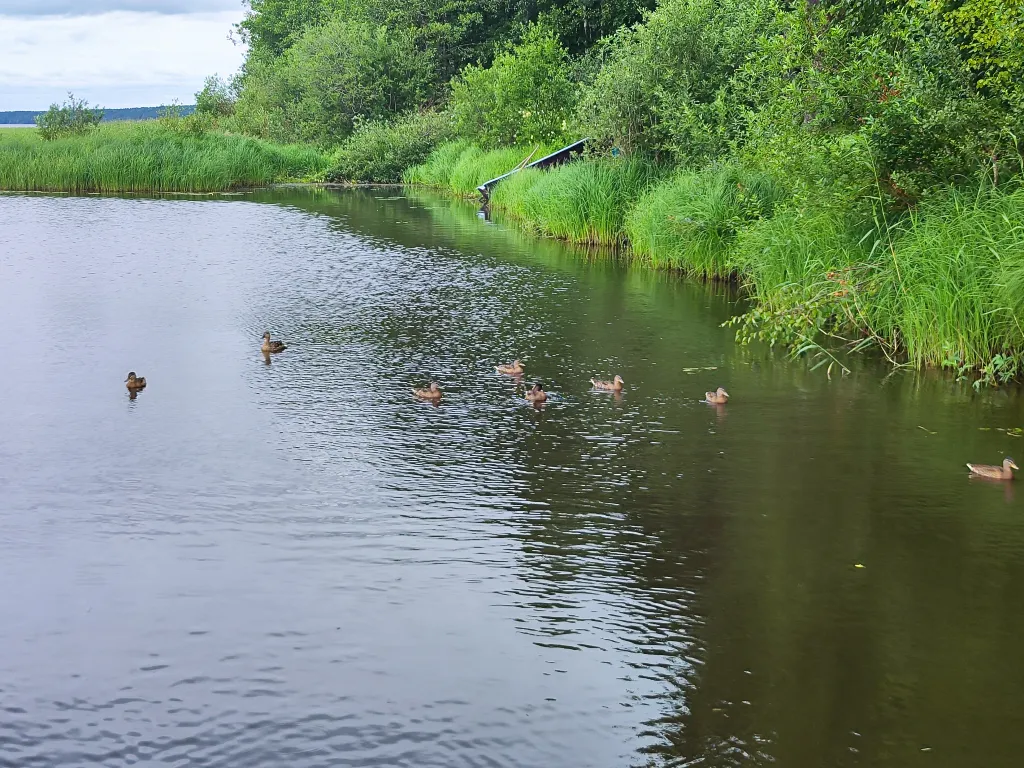 Коттедж Дом Теремок на берегу озера в Карелии с сауной — Верховье