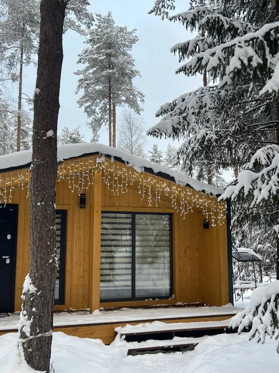 Коттедж Коттедж Логово Тигра — Стеклянный