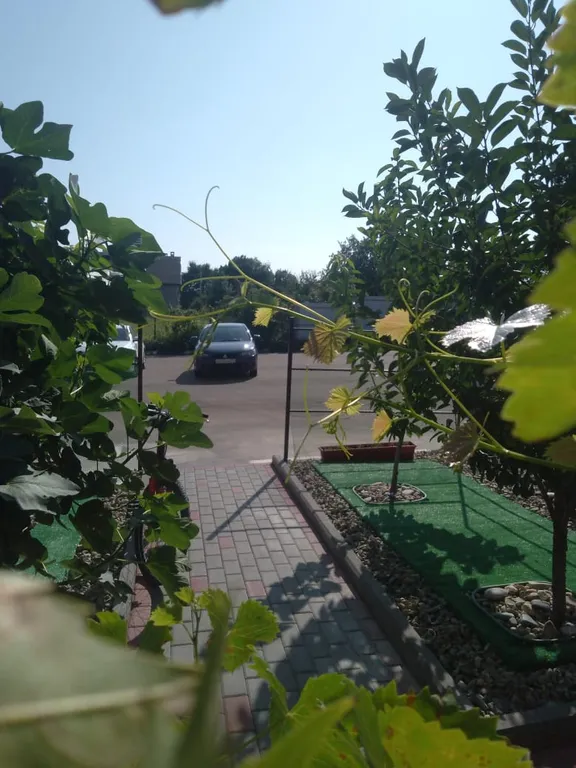 1-комнатная квартира с видом на море и пицундские сосны райский уголок