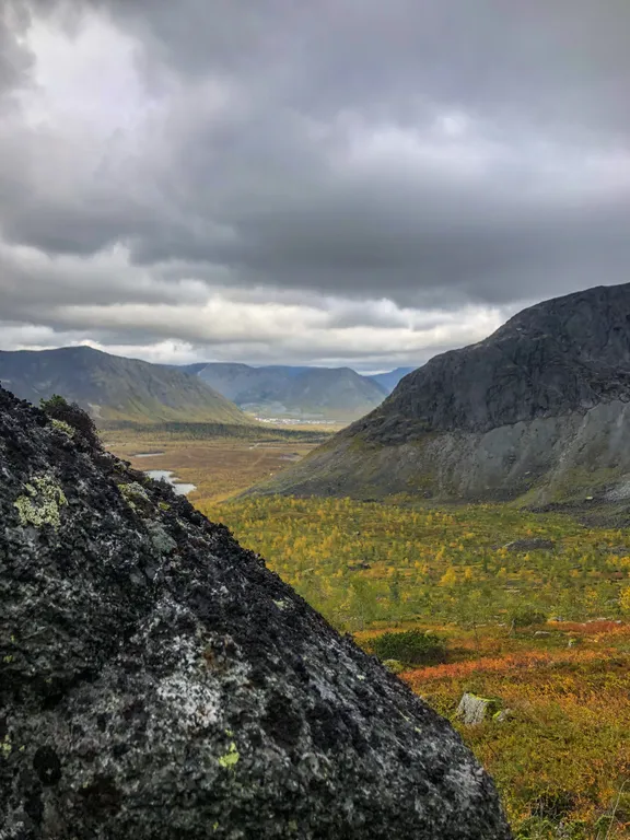 Добро-дом для лучших гостей