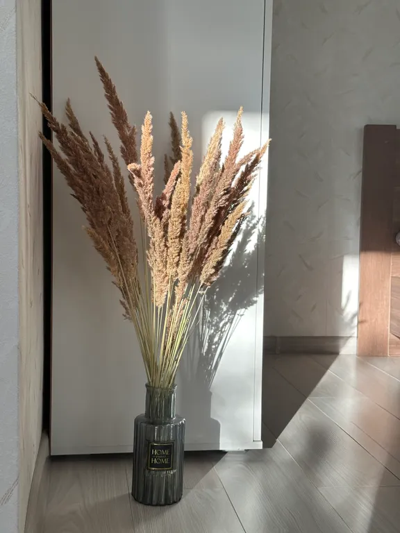 Квартира с видом на ели