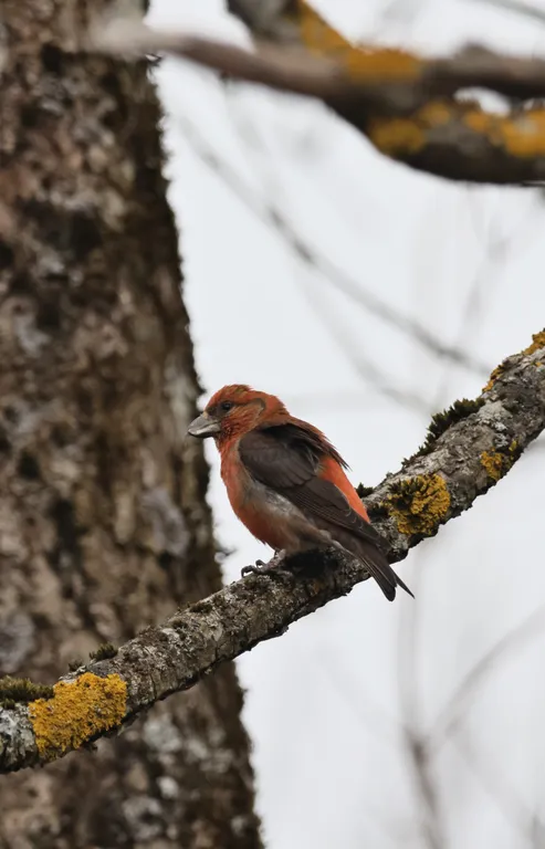 Загородная усадьба