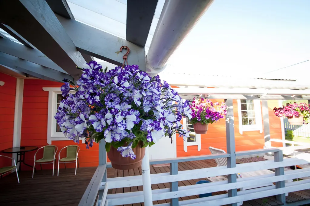 Одноэтажный коттедж