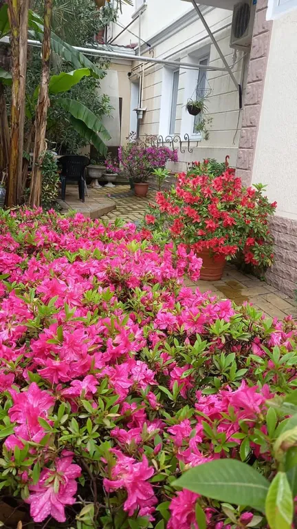 Коттедж Дом на участке 1 сотка — Сочи