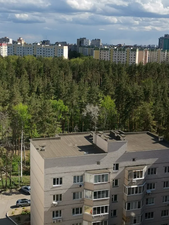 Стильная современная квартира в экологически чистом месте