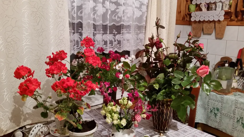 Гостевой дом