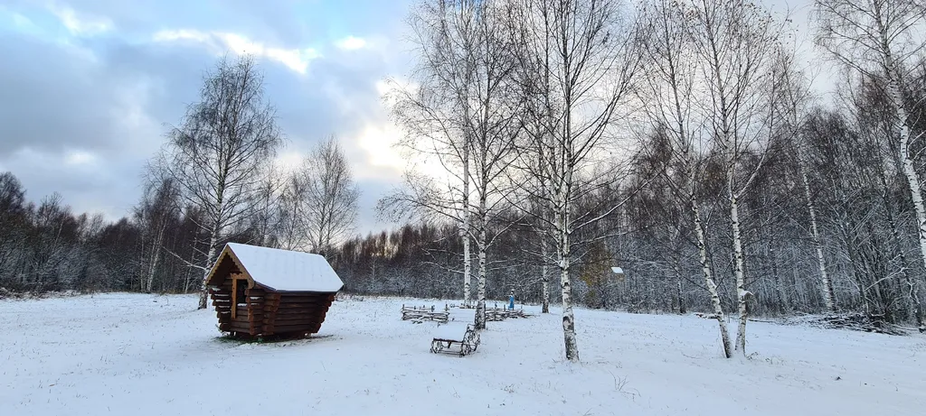 Красивый дом с видом на лес