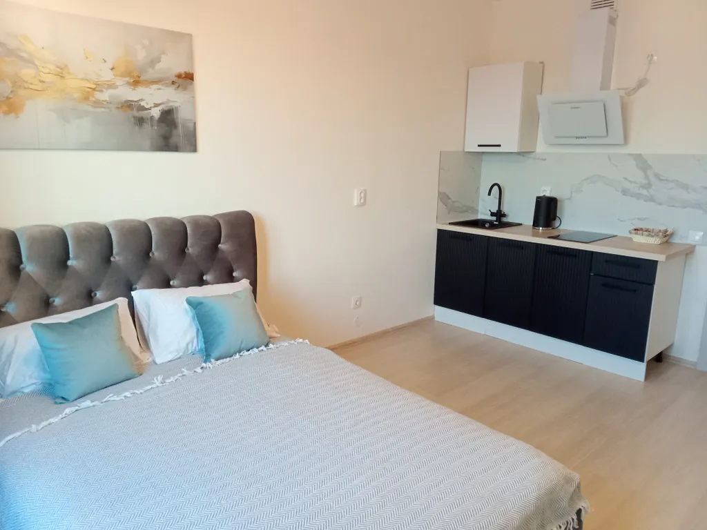 Вип студия в ЖК Зеленый Остров