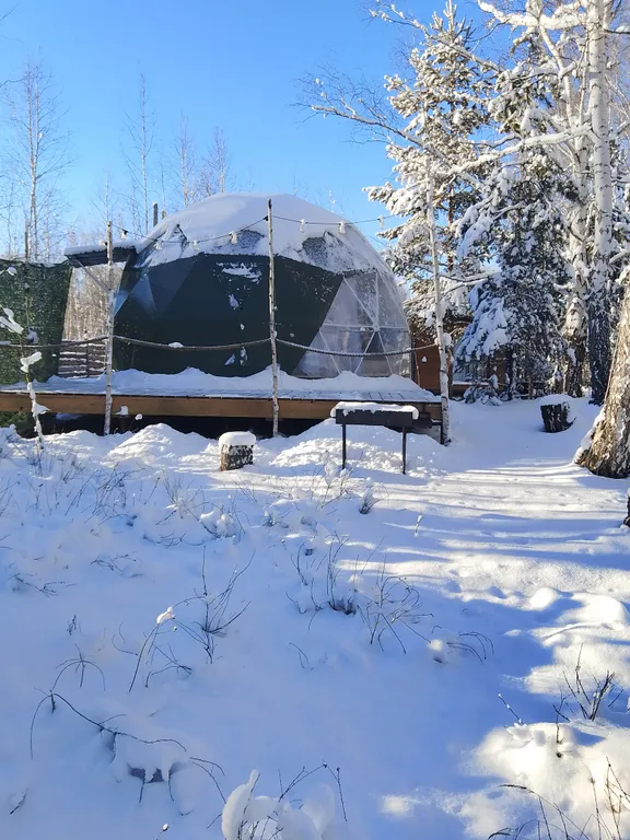 Гео купол в лесу на берегу озера Увильды