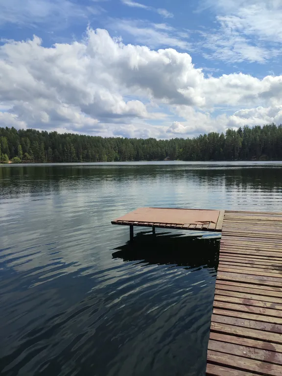 Птица синица House с огромным балконом у озера