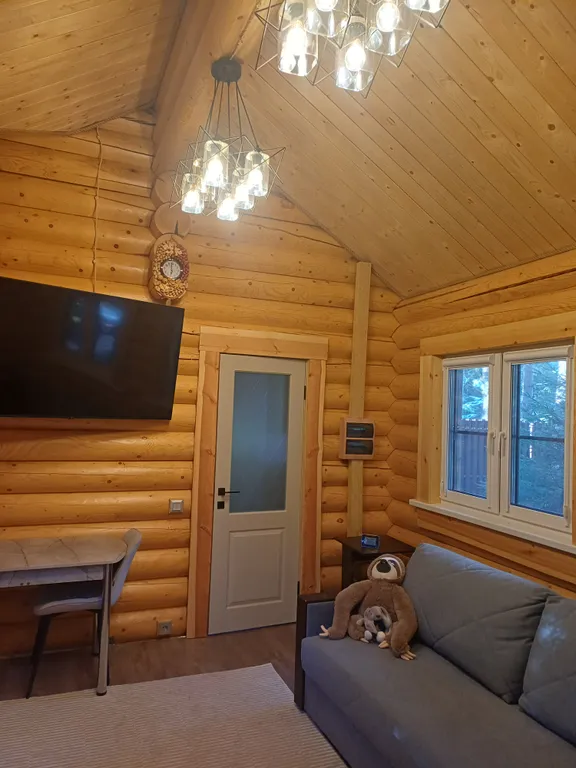 Дом в сосновом лесу