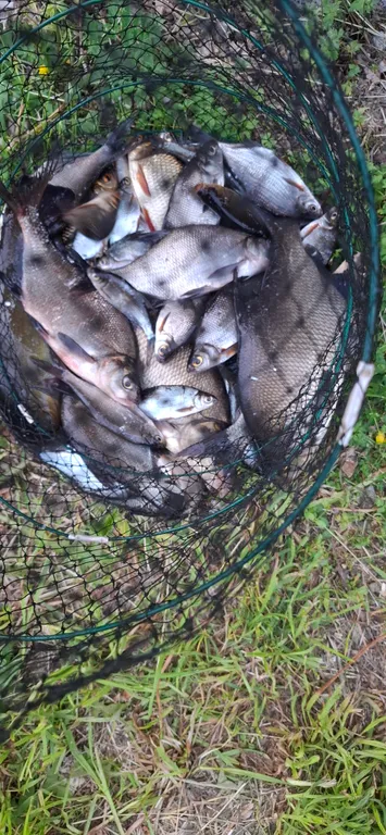 Коттедж Коттедж Селигерское — Березово