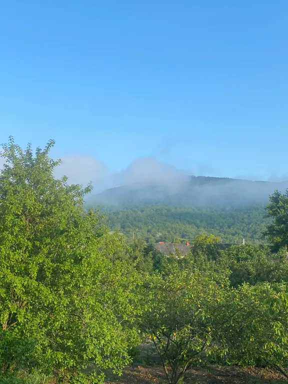 Коттедж Коттедж Апартаменты в местах силы Пшады — Геленджик