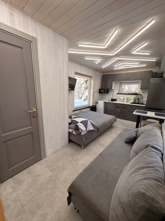 Дом с видом на горы в елочках